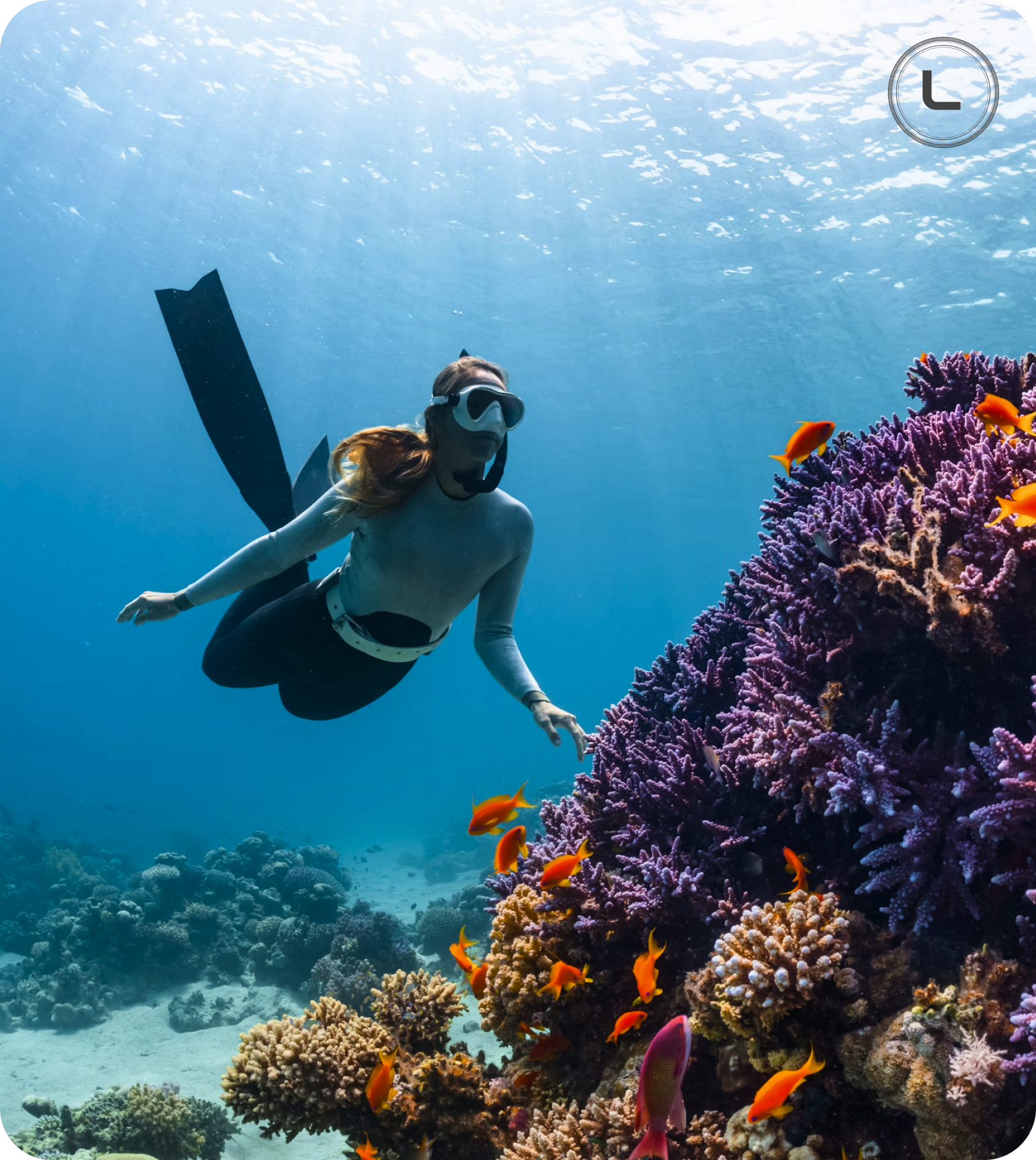 Curated Premium Activities & Itineraries